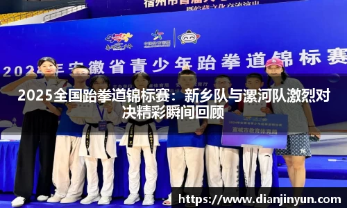 2025全国跆拳道锦标赛：新乡队与漯河队激烈对决精彩瞬间回顾